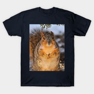 Fox Squirrel Under a Tree T-Shirt